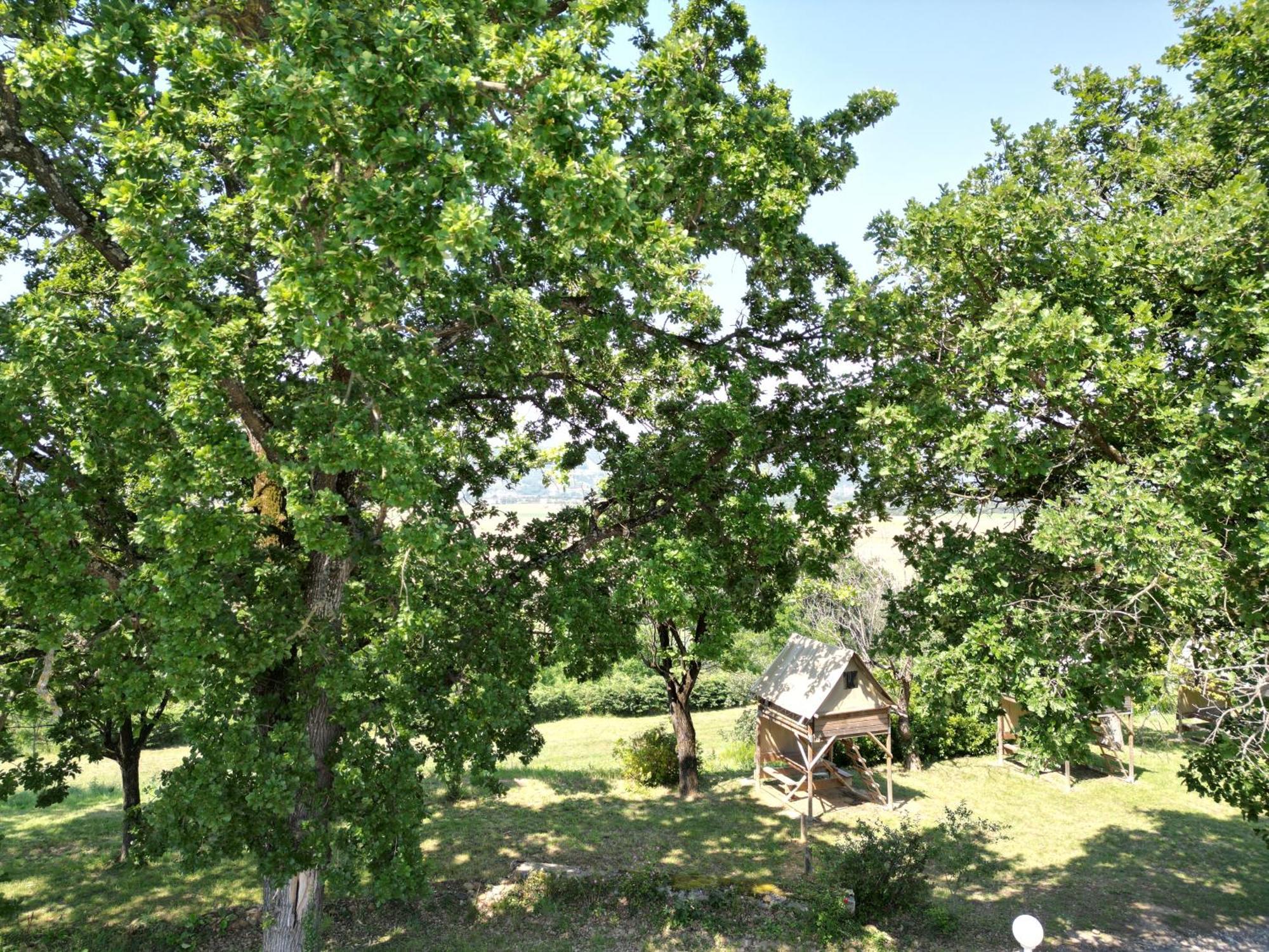 Camping Domaine De Senaud Albon Экстерьер фото